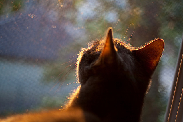 热刺后防线站位改进明显提升稳定性,热刺防守