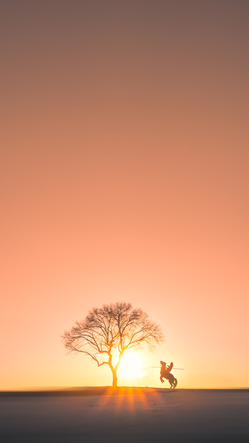 世界足球冠军联赛决赛精彩上演，豪门对决激动人心，世界冠军足球队