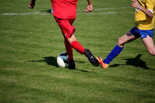 开云体育官网下载安装-LPL多个队伍重组计划曝光转会期极度混乱，lpl战队转会期